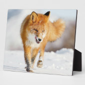 Foto Plaque-Yellowstone Red Fox Plaque Fotoplatte (Seite)