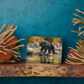 Foto Plaque-Yellowstone Schwarzer Bär Fotoplatte (Seite)