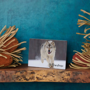Foto Plaque-Yellowstone Wolf Plaque Fotoplatte