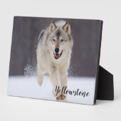 Foto Plaque-Yellowstone Wolf Plaque Fotoplatte (Seite)