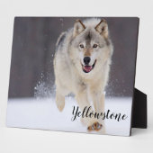 Foto Plaque-Yellowstone Wolf Plaque Fotoplatte (Seite)