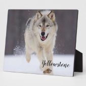 Foto Plaque-Yellowstone Wolf Plaque Fotoplatte (Seite)