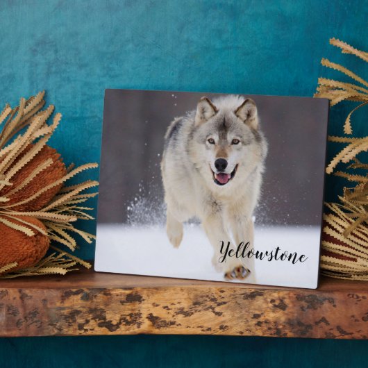 Foto Plaque-Yellowstone Wolf Plaque Fotoplatte (Seite)
