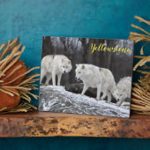 Foto Plaque-Yellowstone-Wölfe Fotoplatte (Seite)