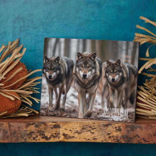 Foto Plaque-Yellowstone-Wölfe Fotoplatte (Seite)