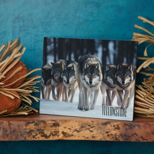 Foto Plaque-Yellowstone-Wölfe Fotoplatte (Seite)