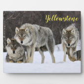 Foto Plaque-Yellowstone-Wölfe Fotoplatte (Vorderseite)