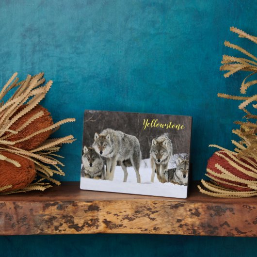 Foto Plaque-Yellowstone Wolves Plaque Fotoplatte (Seite)