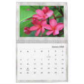 Foto Plumeria Tropical Blume  Kalender (Jan 2026)