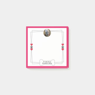 Foto Post-it-Notizen mit Pfauen & Herz Post-it Klebezettel