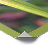 Foto-Poster für die Pflanze Poster (Ecke)