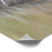 Foto Poster für gefallene Baumreflektionen (Ecke)