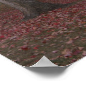 Foto-Poster für Herbst-Bäume Poster (Ecke)