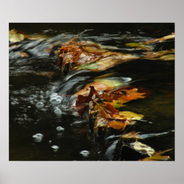 Foto-Poster für Herbst-Stream Poster