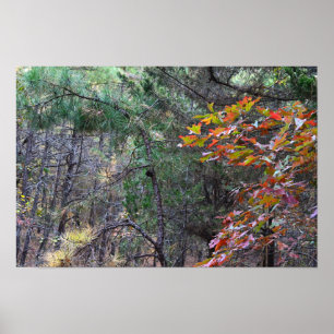 Foto-Poster für Herbstverlässe Poster