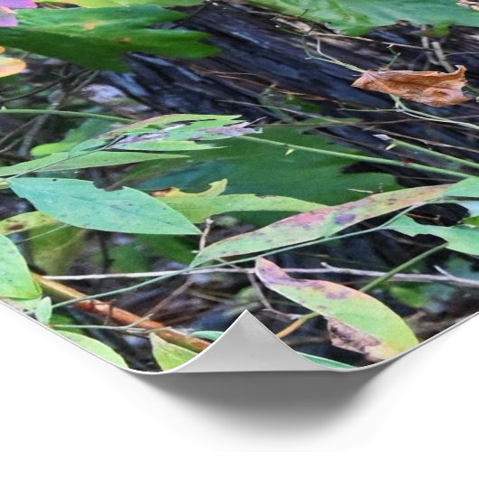 Foto-Poster für Herbstverlässe Poster (Ecke)