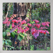 Foto-Poster für Herbstverlässe Poster (Vorne)