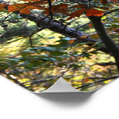 Foto-Poster für Herbstverlässe Poster (Ecke)
