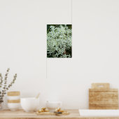 Foto-Poster für weiße Wildblumen Poster (Küche)