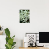 Foto-Poster für weiße Wildblumen Poster (Heimbüro)