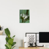 Foto-Poster für weiße Wildblumen Poster (Heimbüro)