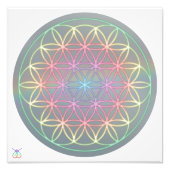 Foto Poster ~ Healing~Energy "Flower Of Life" (Vorne)