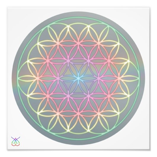 Foto Poster ~ Healing~Energy "Flower Of Life" (Vorne)
