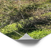 Foto-Poster Poster (Ecke)