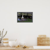 Foto-Poster Poster (Küche)