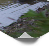 Foto-Poster Poster (Ecke)