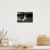 Foto-Poster Poster (Küche)