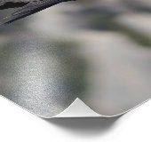 Foto/Poster von Wildvögeln Fotodruck (Ecke)