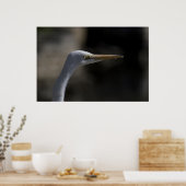 Foto-Poster "White Crane Bird" Poster (Küche)