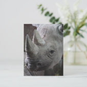 Foto Postkarte (Stehend Vorderseite)