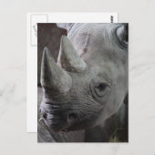 Foto Postkarte (Vorne/Hinten)