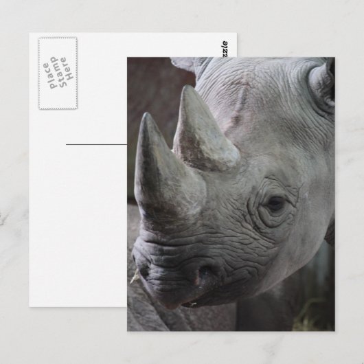 Foto Postkarte (Vorne/Hinten)