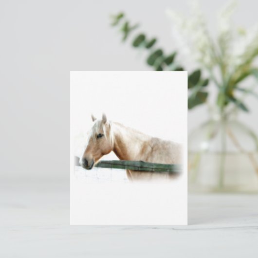 Foto Postkarte (Stehend Vorderseite)