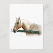 Foto Postkarte (Vorderseite)