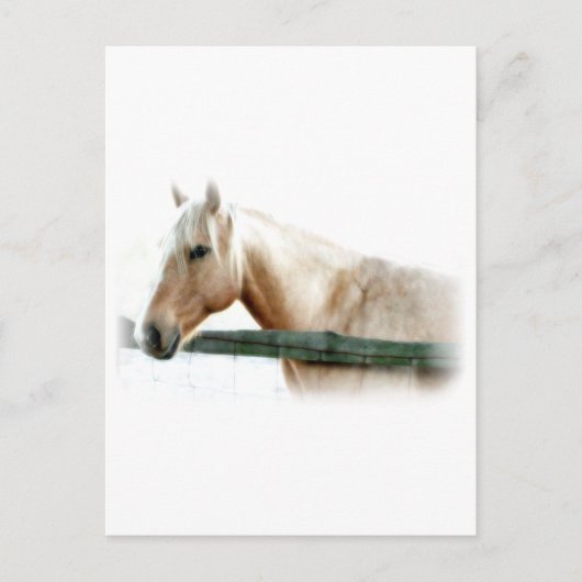 Foto Postkarte (Vorderseite)