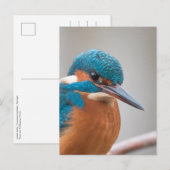 Foto Postkarte (Vorne/Hinten)