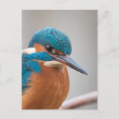 Foto Postkarte (Vorderseite)