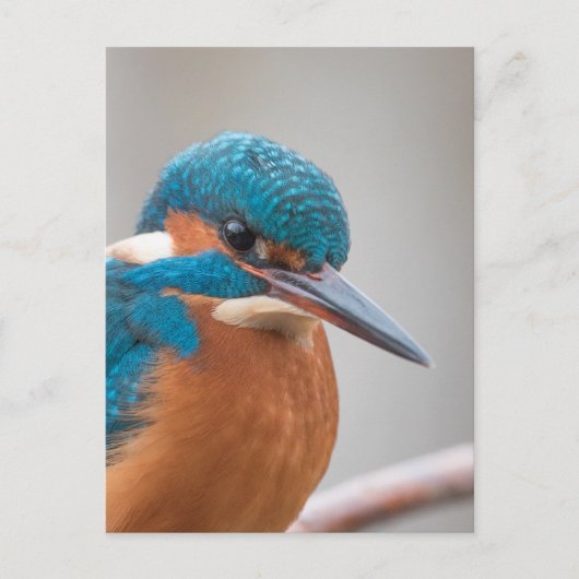 Foto Postkarte (Vorderseite)