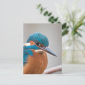 Foto Postkarte (Stehend Vorderseite)