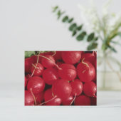 Foto Postkarte (Stehend Vorderseite)