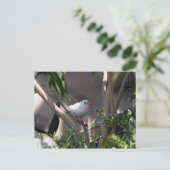 Foto Postkarte (Stehend Vorderseite)