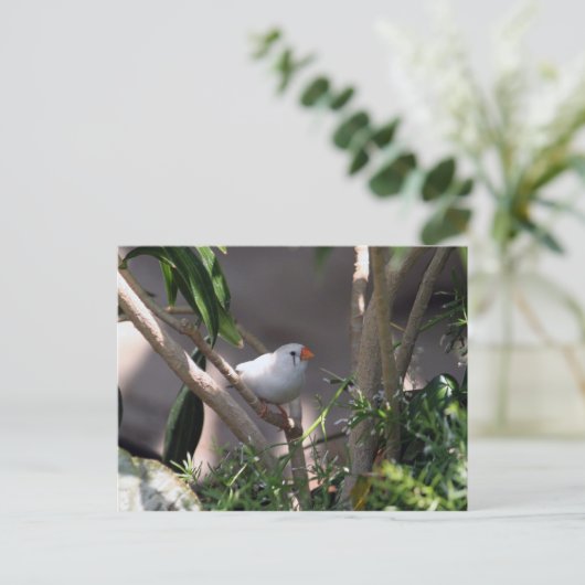 Foto Postkarte (Stehend Vorderseite)