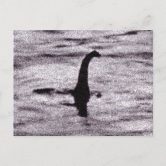 Foto Postkarte des Chirurgen (Vorderseite)