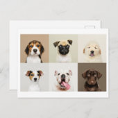 Foto Postkarte Niedlicher Welpen (Vorne/Hinten)