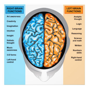 Foto Print Human brain verlassen and right functio