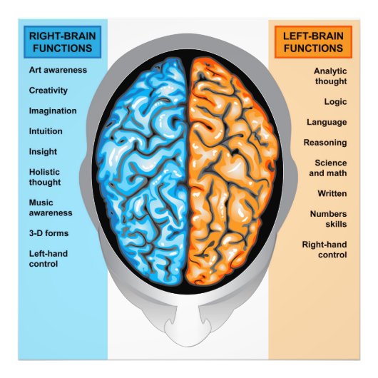 Foto Print Human brain verlassen and right functio (Vorne)